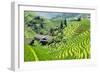 China 10MKm2 Collection - Rice Terraces - Longsheng Ping'an - Guangxi-Philippe Hugonnard-Framed Photographic Print