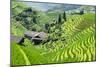 China 10MKm2 Collection - Rice Terraces - Longsheng Ping'an - Guangxi-Philippe Hugonnard-Mounted Photographic Print