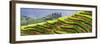 China 10MKm2 Collection - Rice Terraces - Longsheng Ping'an - Guangxi-Philippe Hugonnard-Framed Photographic Print