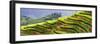 China 10MKm2 Collection - Rice Terraces - Longsheng Ping'an - Guangxi-Philippe Hugonnard-Framed Photographic Print