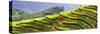 China 10MKm2 Collection - Rice Terraces - Longsheng Ping'an - Guangxi-Philippe Hugonnard-Stretched Canvas