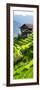 China 10MKm2 Collection - Rice Terraces - Longsheng Ping'an - Guangxi-Philippe Hugonnard-Framed Photographic Print