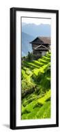 China 10MKm2 Collection - Rice Terraces - Longsheng Ping'an - Guangxi-Philippe Hugonnard-Framed Photographic Print