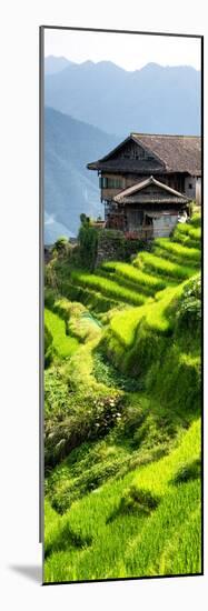 China 10MKm2 Collection - Rice Terraces - Longsheng Ping'an - Guangxi-Philippe Hugonnard-Mounted Photographic Print