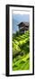 China 10MKm2 Collection - Rice Terraces - Longsheng Ping'an - Guangxi-Philippe Hugonnard-Framed Premium Photographic Print