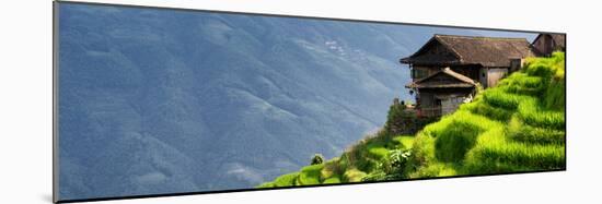 China 10MKm2 Collection - Rice Terraces - Longsheng Ping'an - Guangxi-Philippe Hugonnard-Mounted Photographic Print