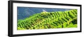 China 10MKm2 Collection - Rice Terraces - Longsheng Ping'an - Guangxi-Philippe Hugonnard-Framed Photographic Print