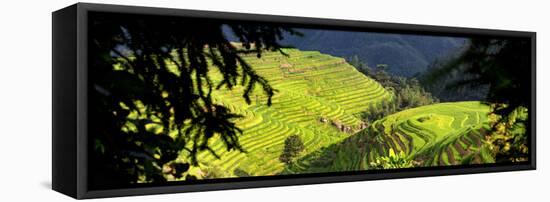 China 10MKm2 Collection - Rice Terraces - Longsheng Ping'an - Guangxi-Philippe Hugonnard-Framed Stretched Canvas