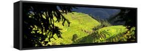 China 10MKm2 Collection - Rice Terraces - Longsheng Ping'an - Guangxi-Philippe Hugonnard-Framed Stretched Canvas