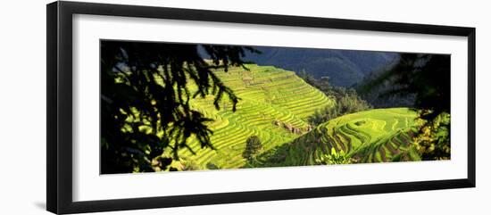 China 10MKm2 Collection - Rice Terraces - Longsheng Ping'an - Guangxi-Philippe Hugonnard-Framed Photographic Print