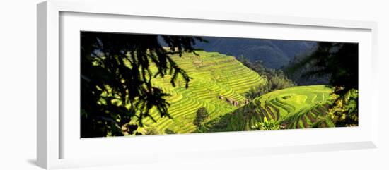 China 10MKm2 Collection - Rice Terraces - Longsheng Ping'an - Guangxi-Philippe Hugonnard-Framed Photographic Print