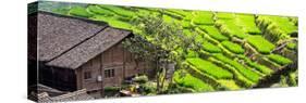 China 10MKm2 Collection - Rice Terraces - Longsheng Ping'an - Guangxi-Philippe Hugonnard-Stretched Canvas