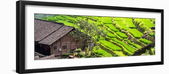 China 10MKm2 Collection - Rice Terraces - Longsheng Ping'an - Guangxi-Philippe Hugonnard-Framed Photographic Print