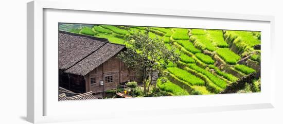 China 10MKm2 Collection - Rice Terraces - Longsheng Ping'an - Guangxi-Philippe Hugonnard-Framed Photographic Print