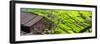 China 10MKm2 Collection - Rice Terraces - Longsheng Ping'an - Guangxi-Philippe Hugonnard-Framed Premium Photographic Print