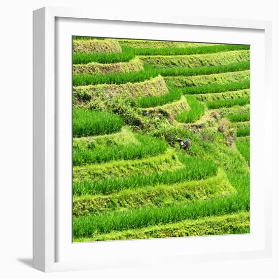 China 10MKm2 Collection - Rice Terraces - Longsheng Ping'an - Guangxi-Philippe Hugonnard-Framed Photographic Print