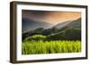 China 10MKm2 Collection - Rice Terraces - Longsheng Ping'an - Guangxi-Philippe Hugonnard-Framed Photographic Print