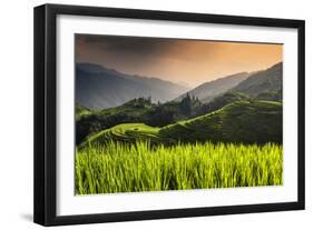 China 10MKm2 Collection - Rice Terraces - Longsheng Ping'an - Guangxi-Philippe Hugonnard-Framed Photographic Print