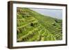 China 10MKm2 Collection - Rice Terraces - Longsheng Ping'an - Guangxi-Philippe Hugonnard-Framed Photographic Print