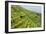 China 10MKm2 Collection - Rice Terraces - Longsheng Ping'an - Guangxi-Philippe Hugonnard-Framed Photographic Print