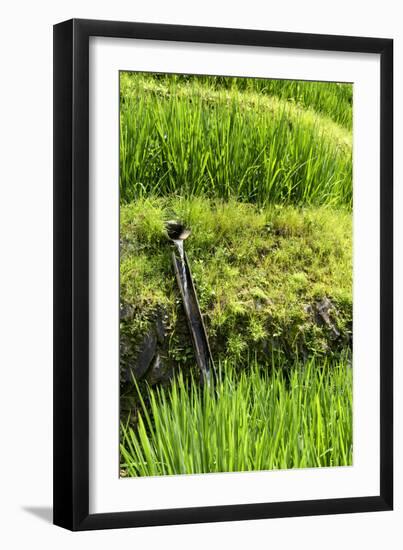 China 10MKm2 Collection - Rice Terraces - Longsheng Ping'an - Guangxi-Philippe Hugonnard-Framed Photographic Print