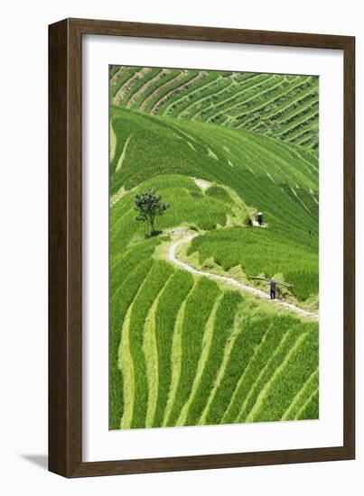 China 10MKm2 Collection - Rice Terraces - Longsheng Ping'an - Guangxi-Philippe Hugonnard-Framed Photographic Print