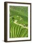 China 10MKm2 Collection - Rice Terraces - Longsheng Ping'an - Guangxi-Philippe Hugonnard-Framed Photographic Print