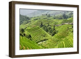 China 10MKm2 Collection - Rice Terraces - Longsheng Ping'an - Guangxi-Philippe Hugonnard-Framed Photographic Print