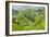 China 10MKm2 Collection - Rice Terraces - Longsheng Ping'an - Guangxi-Philippe Hugonnard-Framed Photographic Print