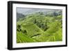 China 10MKm2 Collection - Rice Terraces - Longsheng Ping'an - Guangxi-Philippe Hugonnard-Framed Photographic Print