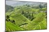 China 10MKm2 Collection - Rice Terraces - Longsheng Ping'an - Guangxi-Philippe Hugonnard-Mounted Photographic Print