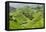 China 10MKm2 Collection - Rice Terraces - Longsheng Ping'an - Guangxi-Philippe Hugonnard-Framed Stretched Canvas