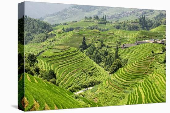 China 10MKm2 Collection - Rice Terraces - Longsheng Ping'an - Guangxi-Philippe Hugonnard-Stretched Canvas