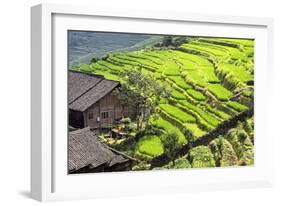 China 10MKm2 Collection - Rice Terraces - Longsheng Ping'an - Guangxi-Philippe Hugonnard-Framed Photographic Print