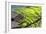 China 10MKm2 Collection - Rice Terraces - Longsheng Ping'an - Guangxi-Philippe Hugonnard-Framed Photographic Print