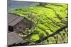 China 10MKm2 Collection - Rice Terraces - Longsheng Ping'an - Guangxi-Philippe Hugonnard-Mounted Photographic Print