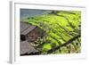 China 10MKm2 Collection - Rice Terraces - Longsheng Ping'an - Guangxi-Philippe Hugonnard-Framed Photographic Print