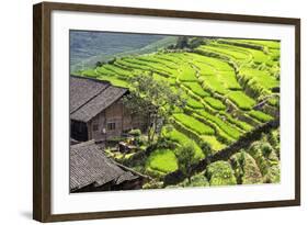 China 10MKm2 Collection - Rice Terraces - Longsheng Ping'an - Guangxi-Philippe Hugonnard-Framed Photographic Print