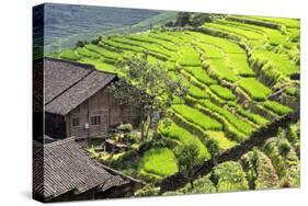 China 10MKm2 Collection - Rice Terraces - Longsheng Ping'an - Guangxi-Philippe Hugonnard-Stretched Canvas