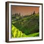 China 10MKm2 Collection - Rice Terraces - Longsheng Ping'an - Guangxi-Philippe Hugonnard-Framed Photographic Print