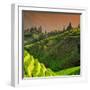 China 10MKm2 Collection - Rice Terraces - Longsheng Ping'an - Guangxi-Philippe Hugonnard-Framed Photographic Print