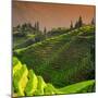 China 10MKm2 Collection - Rice Terraces - Longsheng Ping'an - Guangxi-Philippe Hugonnard-Mounted Photographic Print