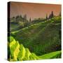 China 10MKm2 Collection - Rice Terraces - Longsheng Ping'an - Guangxi-Philippe Hugonnard-Stretched Canvas