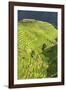 China 10MKm2 Collection - Rice Terraces - Longsheng Ping'an - Guangxi-Philippe Hugonnard-Framed Photographic Print