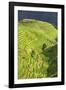 China 10MKm2 Collection - Rice Terraces - Longsheng Ping'an - Guangxi-Philippe Hugonnard-Framed Photographic Print