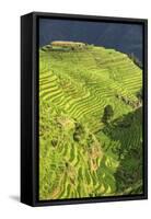 China 10MKm2 Collection - Rice Terraces - Longsheng Ping'an - Guangxi-Philippe Hugonnard-Framed Stretched Canvas