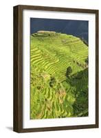 China 10MKm2 Collection - Rice Terraces - Longsheng Ping'an - Guangxi-Philippe Hugonnard-Framed Photographic Print