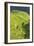 China 10MKm2 Collection - Rice Terraces - Longsheng Ping'an - Guangxi-Philippe Hugonnard-Framed Photographic Print