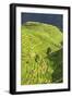 China 10MKm2 Collection - Rice Terraces - Longsheng Ping'an - Guangxi-Philippe Hugonnard-Framed Photographic Print