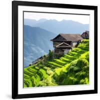 China 10MKm2 Collection - Rice Terraces - Longsheng Ping'an - Guangxi-Philippe Hugonnard-Framed Photographic Print